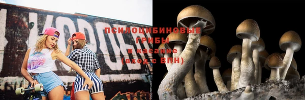 дмт Алексеевка