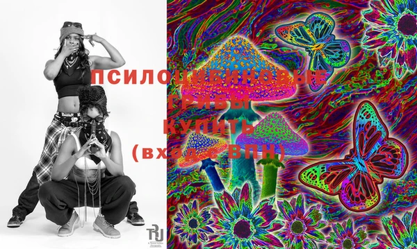 дмт Алексеевка