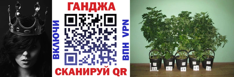 Купить где  Отрадная  Каннабис гибрид 